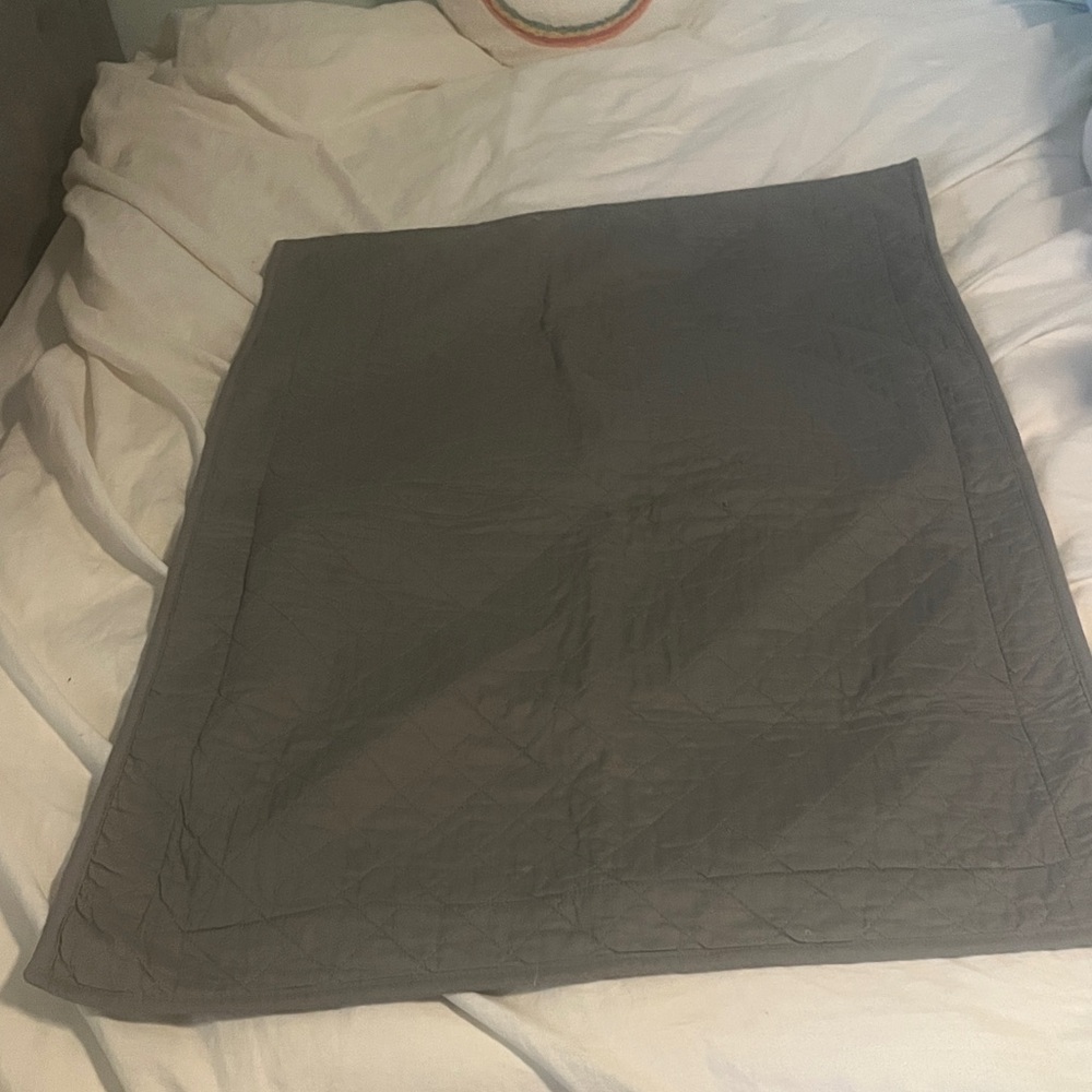 Better Homes And Gardens Gray Cotton Pillow Shams (2)